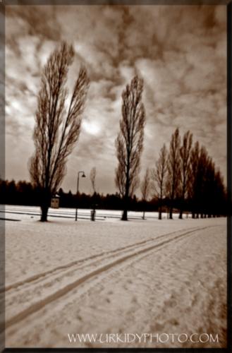 Fotografia de URKIDYPHOTO - Galeria Fotografica: PAISAJES EUROPEOS - Foto: PAIAJE AUSTRIACO