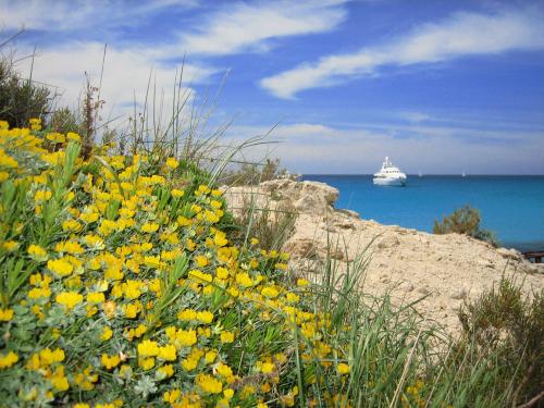 Fotografia de zanshe - Galeria Fotografica: Playas - Foto: Formentera paraiso terrenal