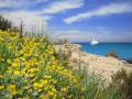 Foto de  zanshe - Galería: Playas - Fotografía: Formentera paraiso terrenal