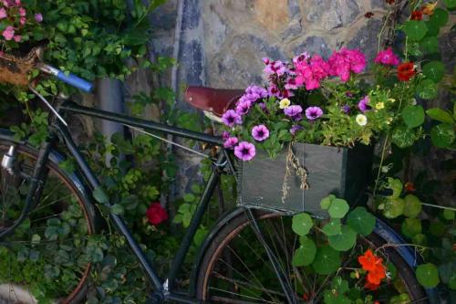 Fotografia de enrique - Galeria Fotografica: varios - Foto: 