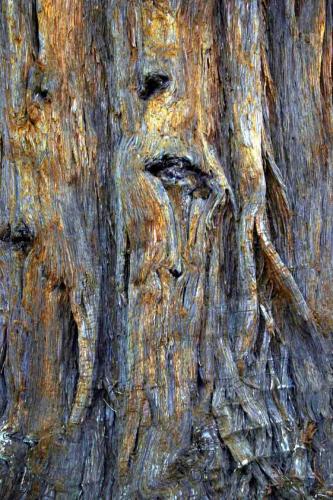 Fotografia de enrique - Galeria Fotografica: varios - Foto: 