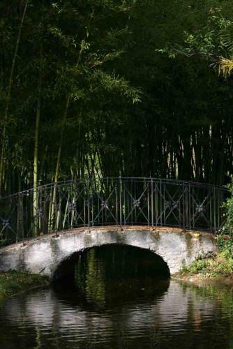 Fotografia de enrique - Galeria Fotografica: varios - Foto: 