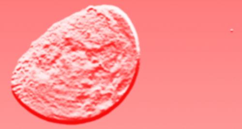 Fotografia de zanshe - Galeria Fotografica: Artistica - Foto: La Luna creciente