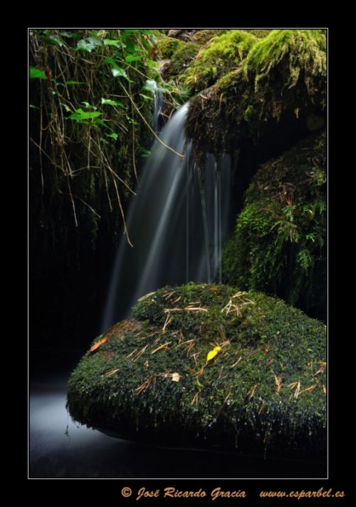 Fotografia de Jos Ricardo Gracia - Galeria Fotografica: Ejemplos de mi trabajo. - Foto: 