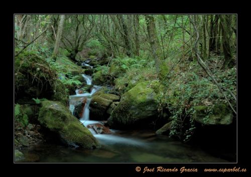 Fotografia de Jos Ricardo Gracia - Galeria Fotografica: Ejemplos de mi trabajo. - Foto: 