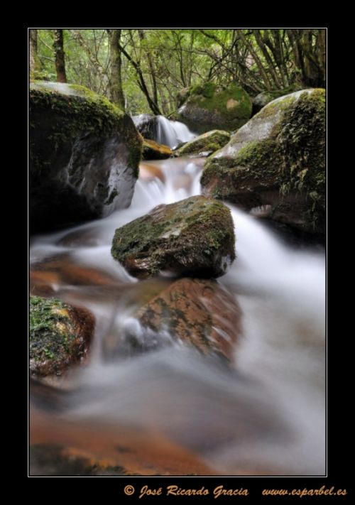 Fotografia de Jos Ricardo Gracia - Galeria Fotografica: Ejemplos de mi trabajo. - Foto: 