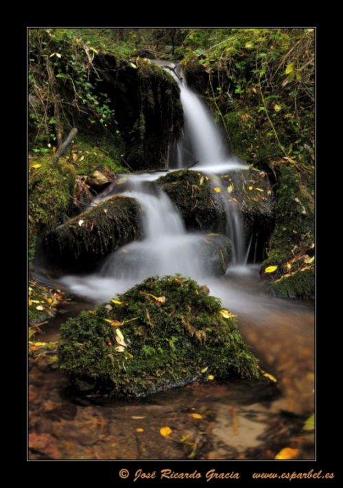 Fotografia de Jos Ricardo Gracia - Galeria Fotografica: Ejemplos de mi trabajo. - Foto: 