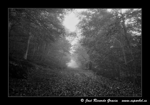 Fotografia de Jos Ricardo Gracia - Galeria Fotografica: Ejemplos de mi trabajo. - Foto: 