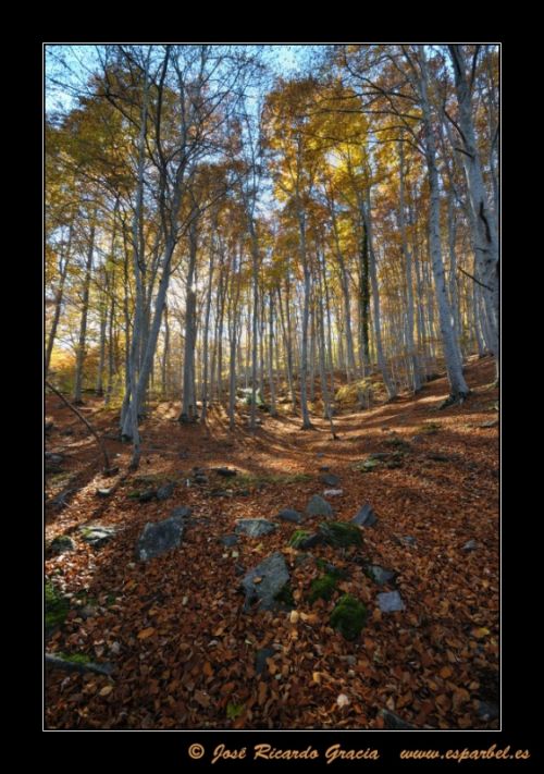 Fotografia de Jos Ricardo Gracia - Galeria Fotografica: Ejemplos de mi trabajo. - Foto: 