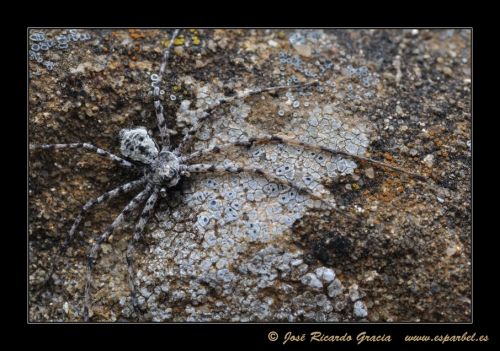 Fotografia de Jos Ricardo Gracia - Galeria Fotografica: Ejemplos de mi trabajo. - Foto: 