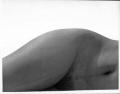 Fotos de Ruben Sucre -  Foto: desnuda - 