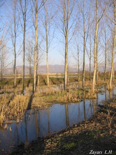 Fotografia de Zayari - Galeria Fotografica: Sentimientos - Foto: Padule