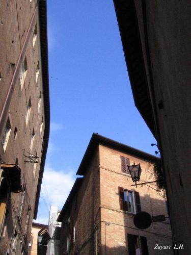 Fotografia de Zayari - Galeria Fotografica: Sentimientos - Foto: contraste azul