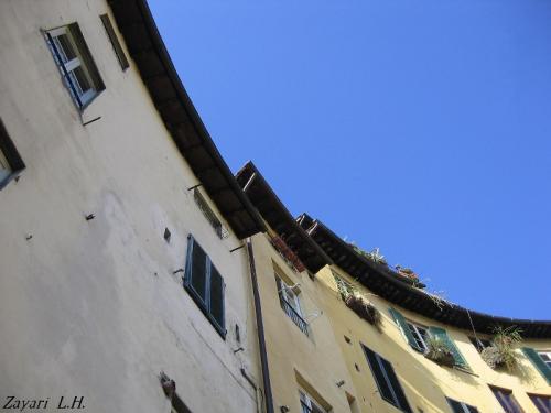 Fotografia de Zayari - Galeria Fotografica: Sentimientos - Foto: que curva!