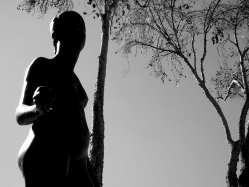 Fotografia de Guido Acu�a Bonilla - Galeria Fotografica: Nocturno - Foto: 