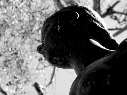 Fotografia de Guido Acua Bonilla - Galeria Fotografica: Nocturno - Foto: 