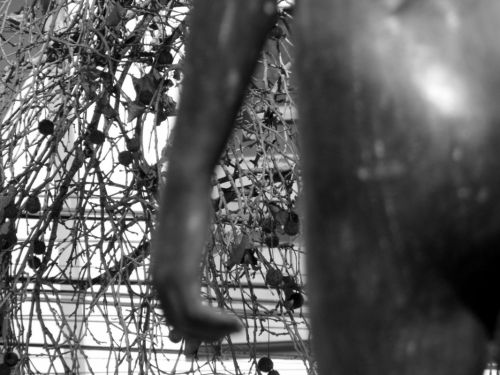 Fotografia de Guido Acua Bonilla - Galeria Fotografica: Nocturno - Foto: 