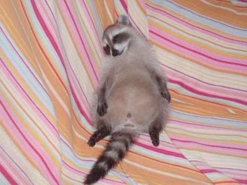 Fotografia de CENTRO-NEON.COM - Galeria Fotografica: NATURALEZA FUERZA DE UNIVERSOS - Foto: 