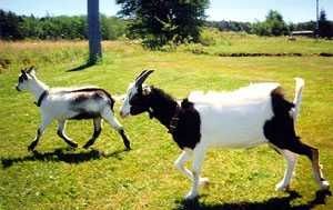 Fotografia de CENTRO-NEON.COM - Galeria Fotografica: NATURALEZA FUERZA DE UNIVERSOS - Foto: 