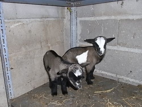 Fotografia de CENTRO-NEON.COM - Galeria Fotografica: NATURALEZA FUERZA DE UNIVERSOS - Foto: 