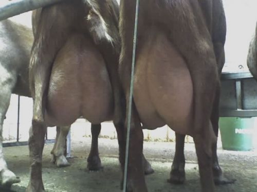 Fotografia de CENTRO-NEON.COM - Galeria Fotografica: NATURALEZA FUERZA DE UNIVERSOS - Foto: 