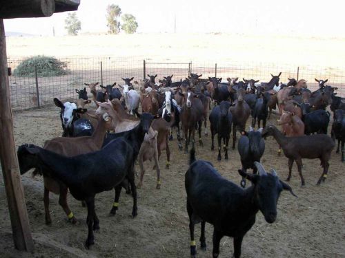 Fotografia de CENTRO-NEON.COM - Galeria Fotografica: NATURALEZA FUERZA DE UNIVERSOS - Foto: 