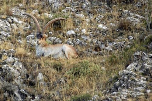 Fotografia de CENTRO-NEON.COM - Galeria Fotografica: NATURALEZA FUERZA DE UNIVERSOS - Foto: 