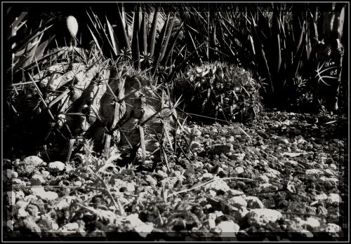 Fotografia de ven23 - Galeria Fotografica: Varios - Foto: 