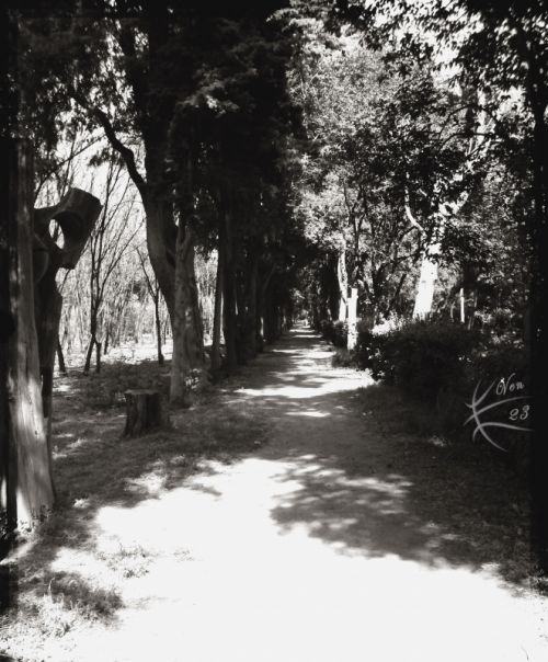 Fotografia de ven23 - Galeria Fotografica: Varios - Foto: 