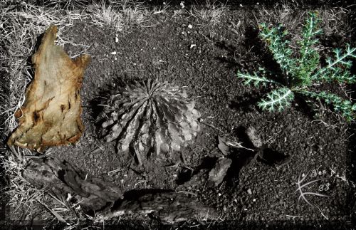 Fotografia de ven23 - Galeria Fotografica: Varios - Foto: 