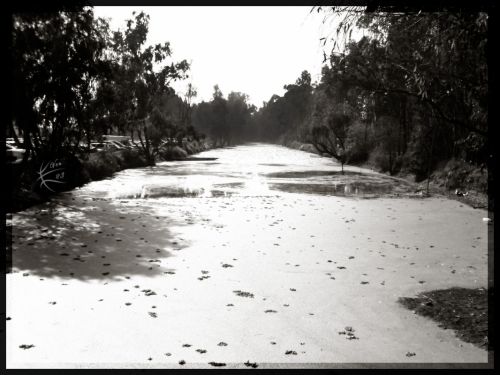 Fotografia de ven23 - Galeria Fotografica: Varios - Foto: 