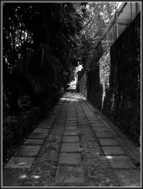 Fotografia de ven23 - Galeria Fotografica: Varios - Foto: 