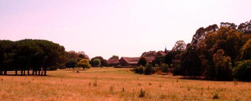 Fotografia de pupi - Galeria Fotografica: monjes trapenses - Foto: Monasterio en Azul/Argentina