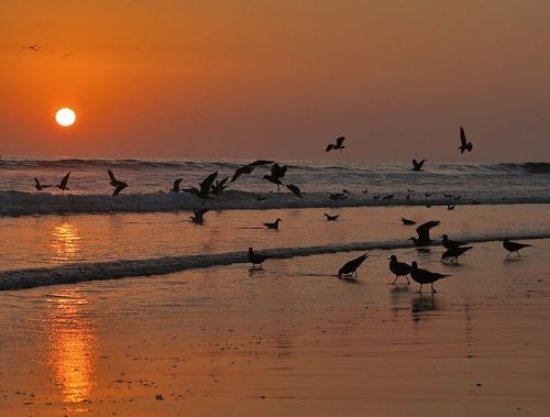 Fotografia de Fabian - Galeria Fotografica: Paisajes - Foto: 