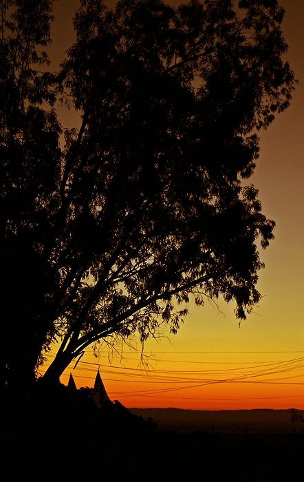 Fotografia de Fabian - Galeria Fotografica: Paisajes - Foto: 