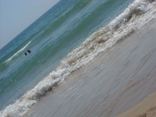 Fotografia de BloodyLady - Galeria Fotografica: Playa de Cdiz Verano 2010 - Foto: 