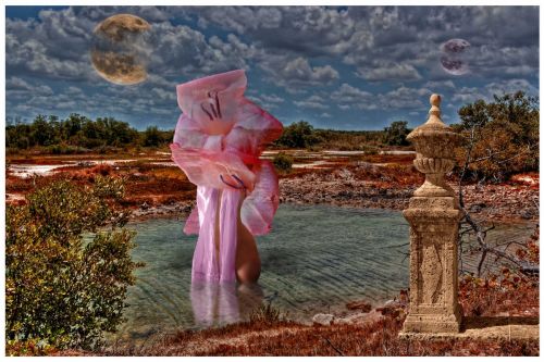 Fotografia de Abimagen64 - Galeria Fotografica: Una almohada surrealista - Foto: Nacimiento de Venus XY.