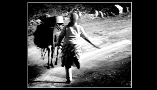 Fotos menos valoradas » Foto de Daniel Sanz - Galería: Por la carretera - Fotografía: Por la carretera