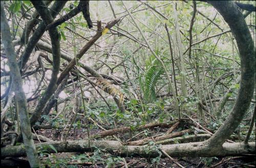 Fotos menos valoradas &raquo; Foto de urko - Galer&iacute;a: mis viajes - Fotograf&iacute;a: densidad