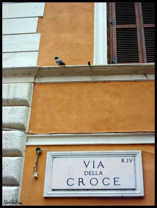 Fotos menos valoradas » Foto de Alberto Ponte Reines Portfolio - Galería: Grecia, Italia, Egipto, etc - Fotografía: Calle de Roma