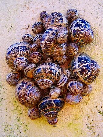 Fotos menos valoradas » Foto de Cayetana - Galería: seleccin naturaleza - Fotografía: en familia