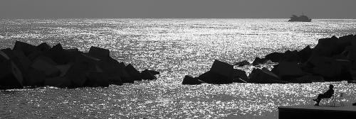 Fotografías mas votadas » Autor: Yez - Galería: Soledades - Fotografía: tranquilo amanecer