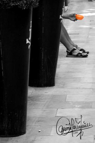 Fotografías mas votadas » Autor: Yez - Galería: Soledades - Fotografía: La vida es de colo