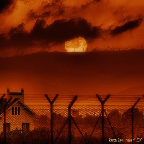 Fotos mas valoradas » Foto de Yez - Galería: Soledades - Fotografía: Libertad controlad