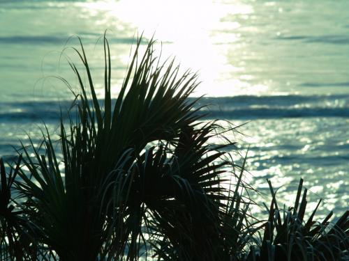 Fotos mas valoradas » Foto de Susy - Galería: Vivo - Fotografía: 