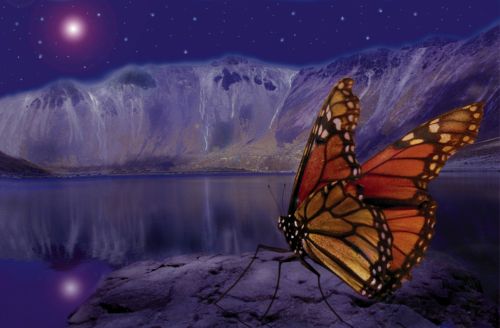 Fotos mas valoradas &raquo; Foto de Sergio Loman - Galer&iacute;a: PARAISO - Fotograf&iacute;a: 