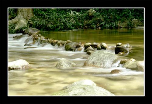 Fotos mas valoradas » Foto de Gustavo - Galería: Galeria de Paisajes - Fotografía: Rio Bellisimo