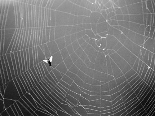 Fotos menos valoradas » Foto de Sin Nombre - Galería: Fotos de Elena - Fotografía: Telaraa