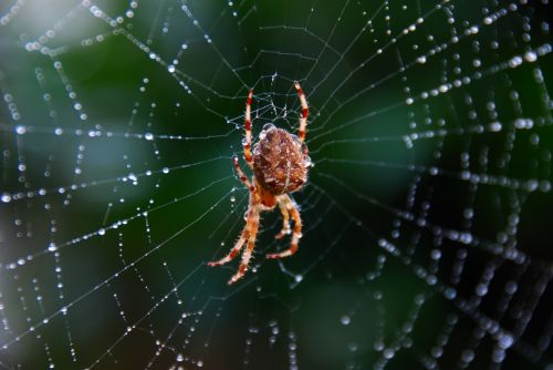 Fotos mas valoradas » Foto de Federico Lojo - Galería: Msica y Expresin - Fotografía: 
