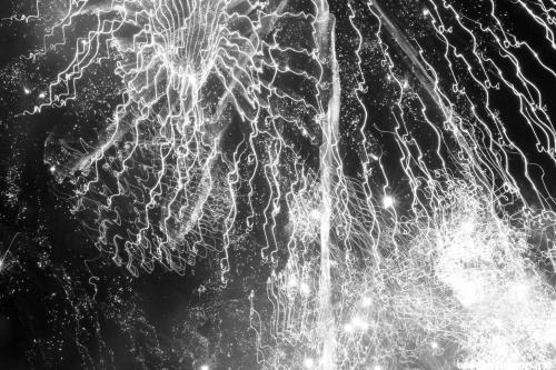 Fotos menos valoradas &raquo; Foto de cristian - Galer&iacute;a: barcelona b/n - Fotograf&iacute;a: fuegos artificiale